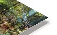 Water  8 HD Metal print