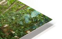 Water  13 HD Metal print