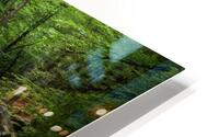 Water  25 HD Metal print