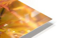 Abstract 65 HD Metal print