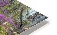 FlowersPlants 1 HD Metal print