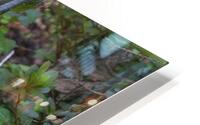 FlowersPlants 2 HD Metal print