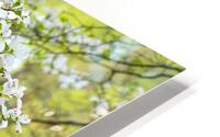 FlowersPlants 3 HD Metal print