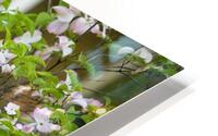 FlowersPlants 12 HD Metal print