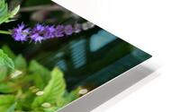 FlowersPlants 13 HD Metal print