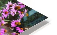 FlowersPlants 14 HD Metal print