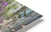 FlowersPlants 15 HD Metal print