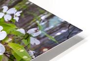 FlowersPlants 17 HD Metal print