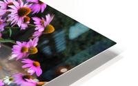 FlowersPlants 18 HD Metal print