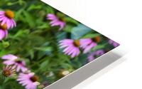 FlowersPlants 24 HD Metal print