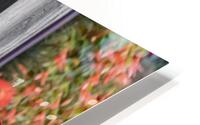 FlowersPlants 32 HD Metal print