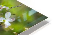 FlowersPlants 33 HD Metal print