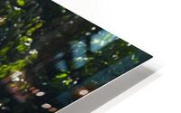 FlowersPlants 36 HD Metal print