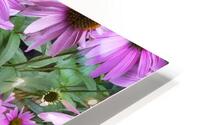 FlowersPlants 37 HD Metal print