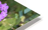 FlowersPlants 46 HD Metal print
