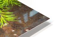 FlowersPlants 60 HD Metal print