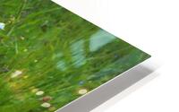 FlowersPlants 66 HD Metal print