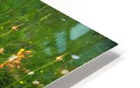 FlowersPlants 71 HD Metal print
