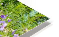 FlowersPlants 73 HD Metal print