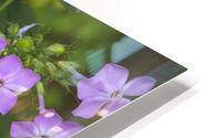 FlowersPlants 80 HD Metal print