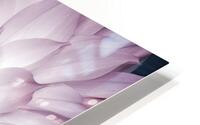 FlowersPlants 86 HD Metal print