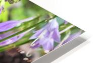 FlowersPlants 87 HD Metal print