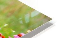 FlowersPlants 96 HD Metal print