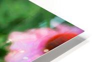 FlowersPlants 124 HD Metal print
