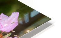 FlowersPlants 128 HD Metal print