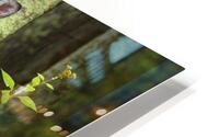 AnimalsInsects 34 HD Metal print