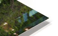 Civil War 39 HD Metal print