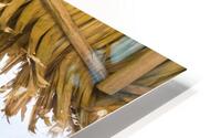 Coastal 29 HD Metal print
