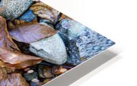 Panoramic 1 HD Metal print
