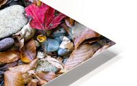 Panoramic 2 HD Metal print