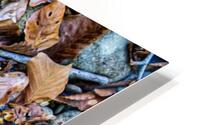 Panoramic 7 HD Metal print