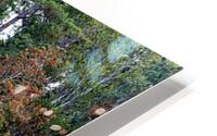 Coastal 42 HD Metal print