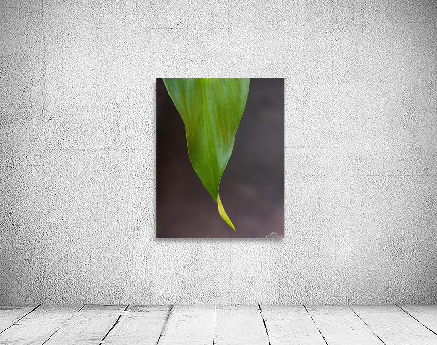 Green Plant Abstract  2 Wall Preview