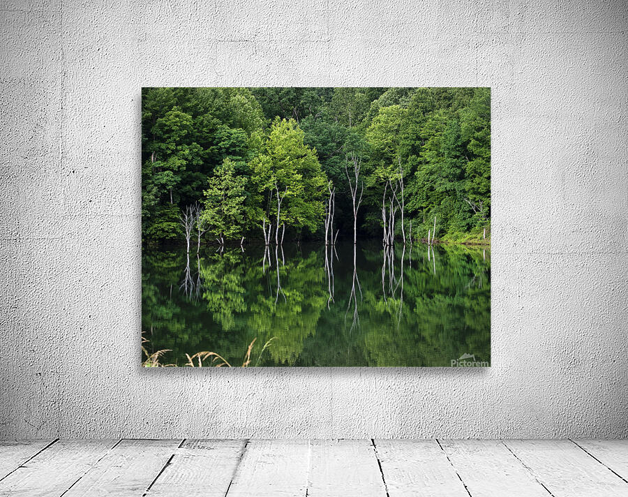 Green Abstract  1 Wall Preview