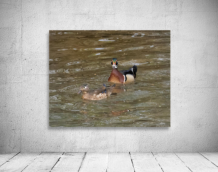 Waterfowl 1 Wall Preview