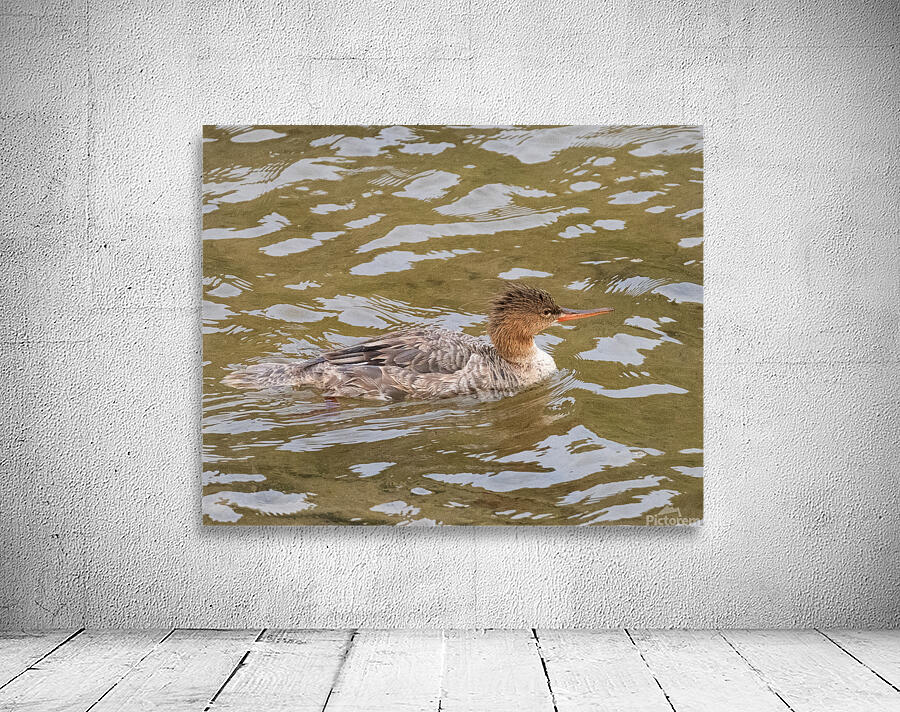 Waterfowl 2 Wall Preview