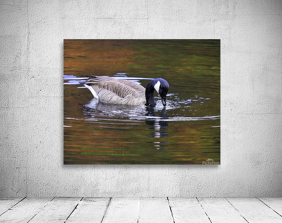 Waterfowl 4 Wall Preview