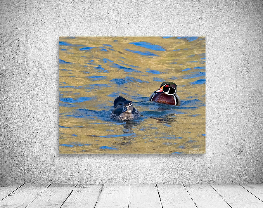 Waterfowl 6 Wall Preview
