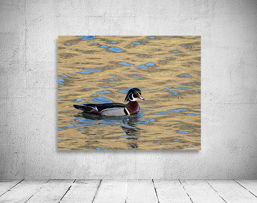 Waterfowl 10 Wall Preview