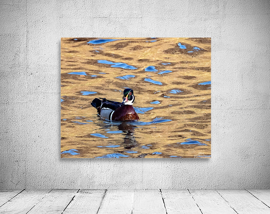 Waterfowl 15 Wall Preview