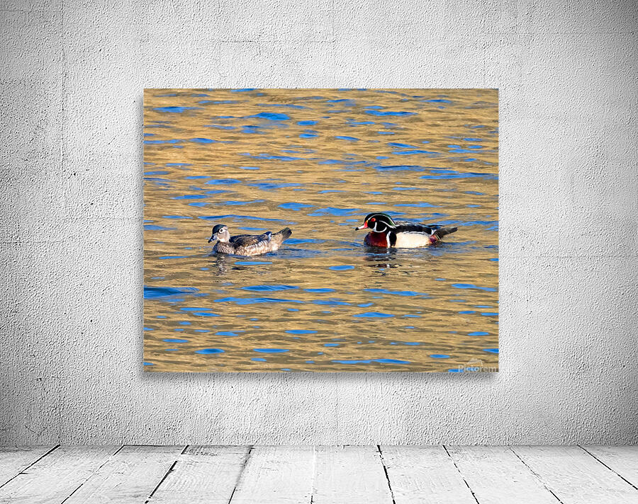 Waterfowl 18 Wall Preview