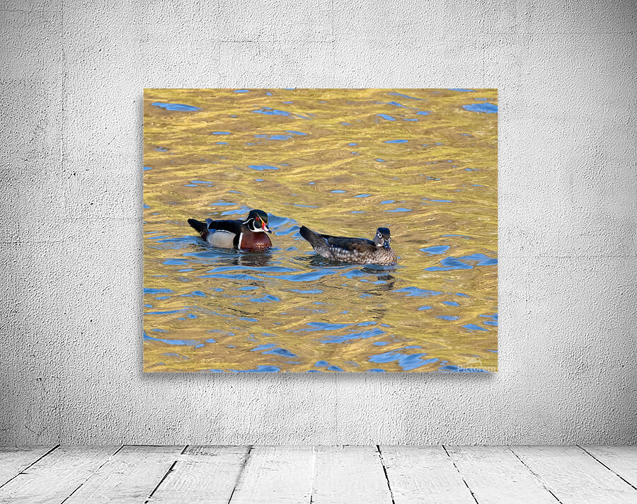 Waterfowl 20 Wall Preview