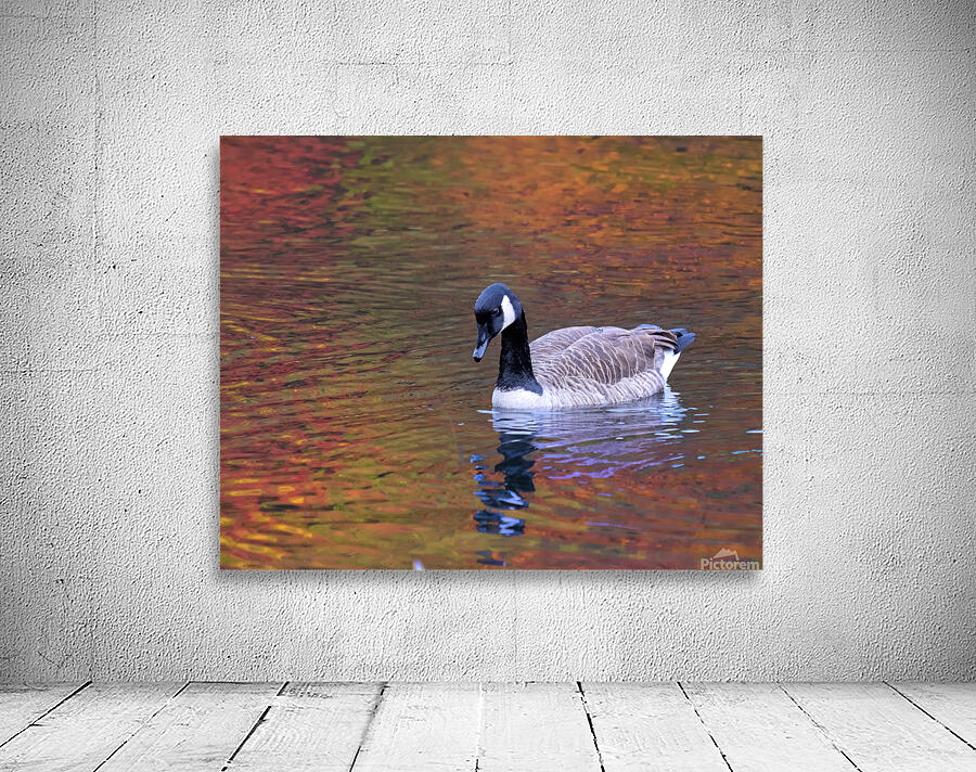 Waterfowl 27 Wall Preview