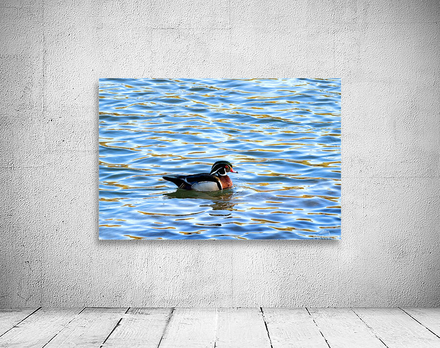 Waterfowl 31 Wall Preview