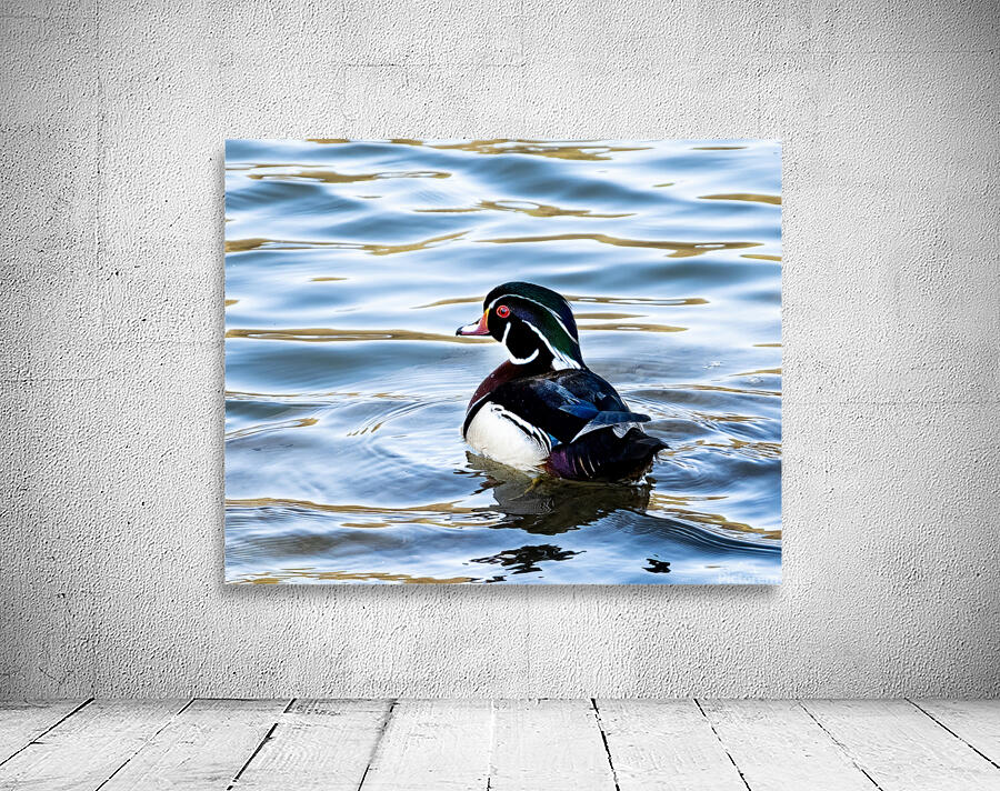 Waterfowl 36 Wall Preview