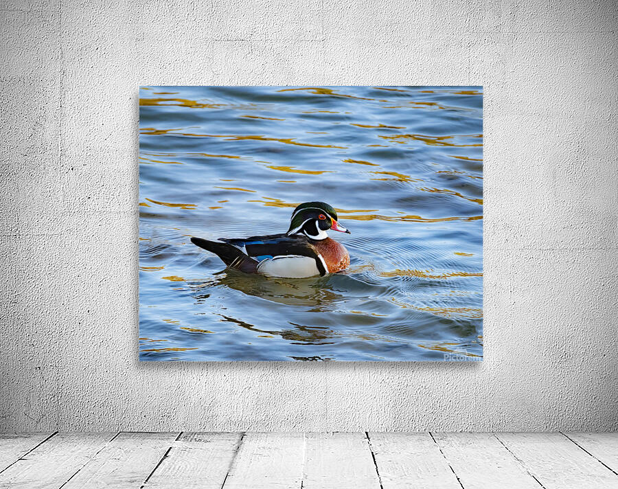 Waterfowl 40 Wall Preview